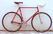Casati-made Eddy Merckx